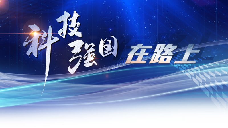 学校数据备份策略的常见误区与优化路径